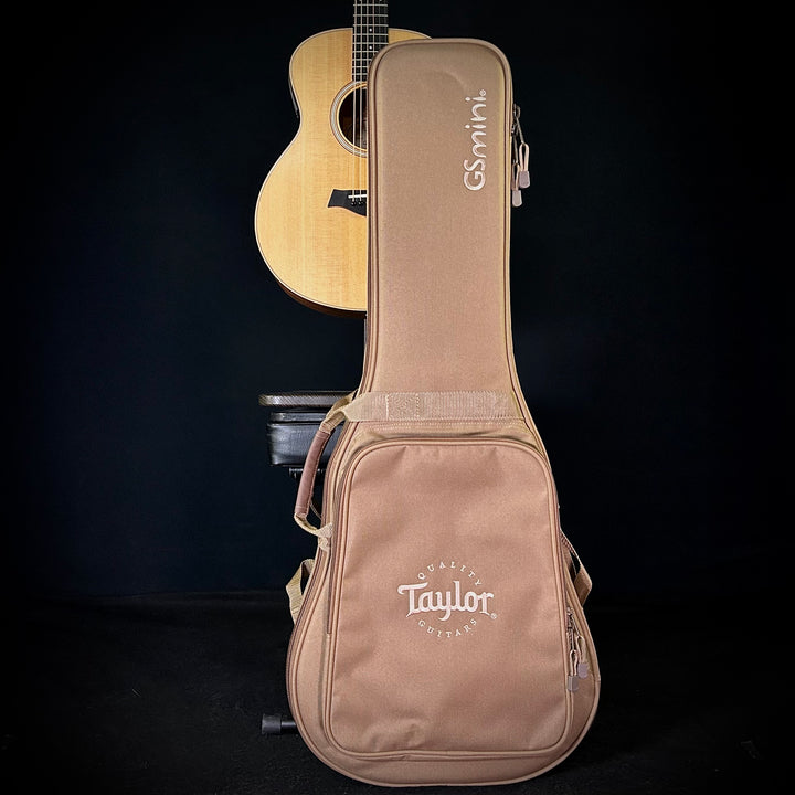 Taylor GS Mini-E Limited - Figured KOA