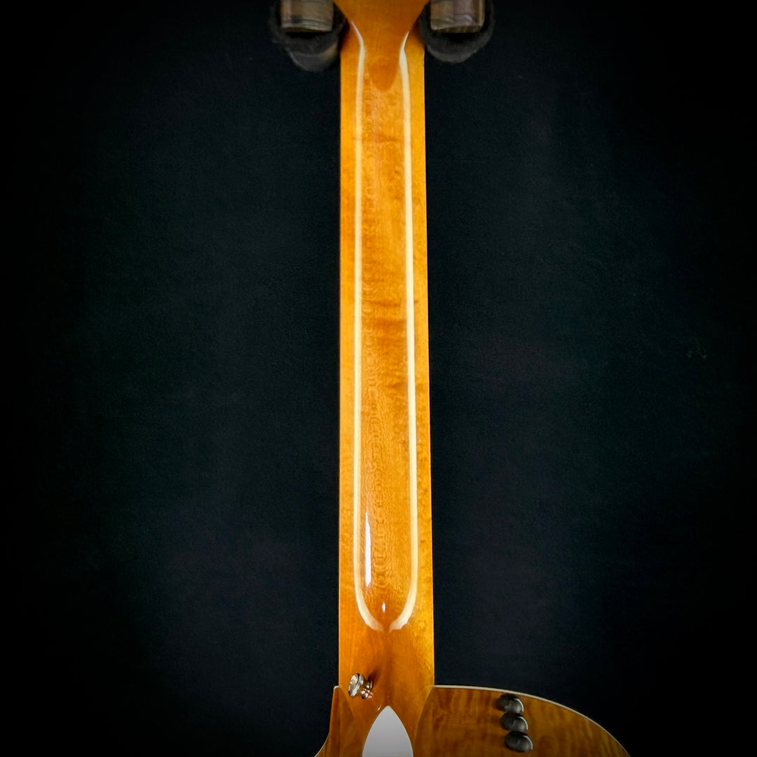 Taylor 2008 - 615CE (USED)