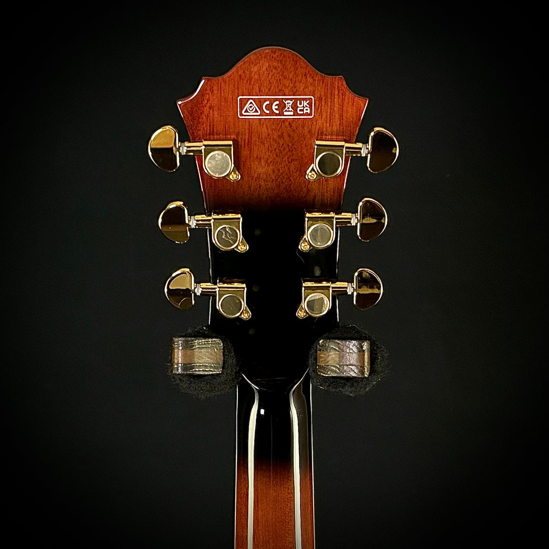 Ibanez Artcore Expressionist AG95QA