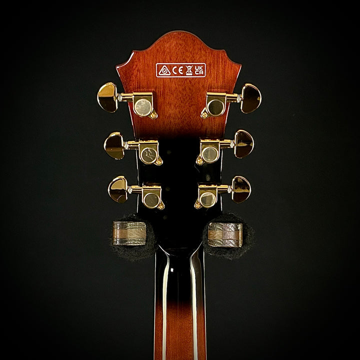 Ibanez Artcore Expressionist AG95QA