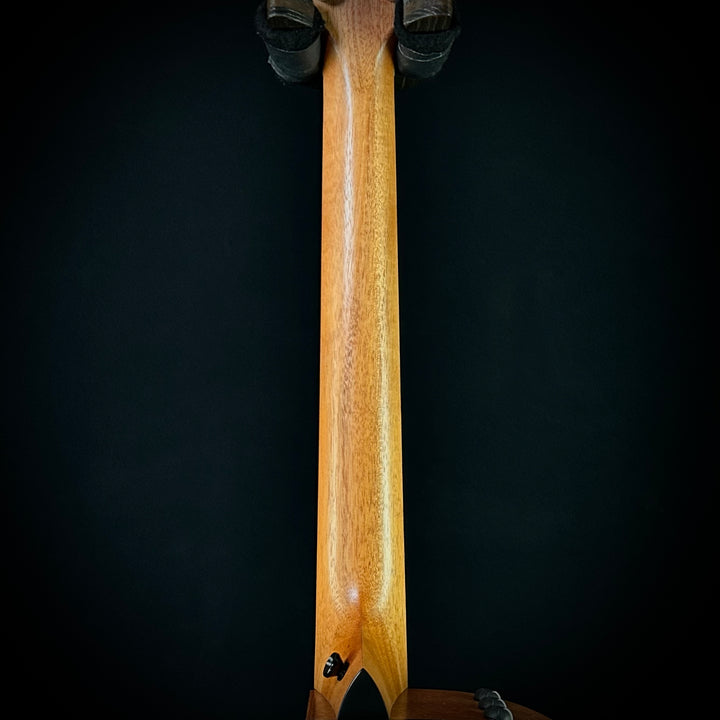 Taylor 114ce - Sapele