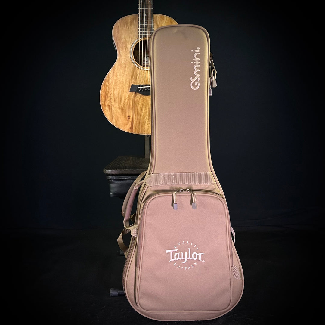 Taylor GS Mini-e Koa