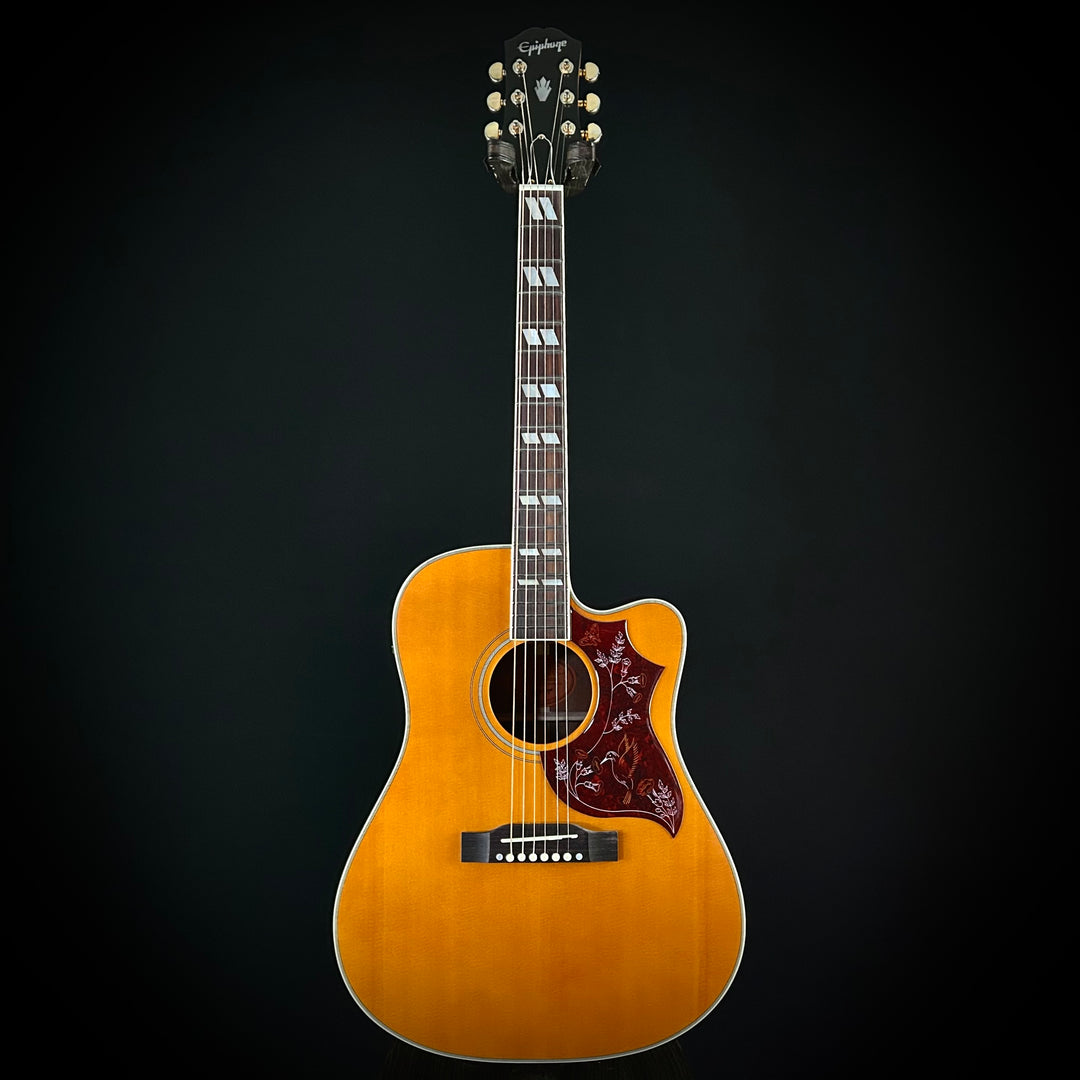 Epiphone Hummingbird Standard EC