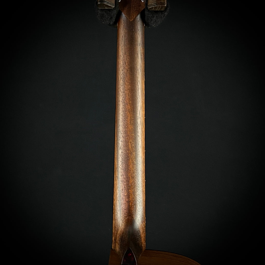 Eastman AC222CE