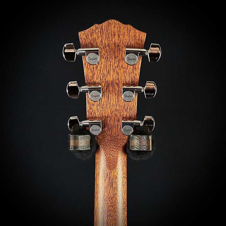 Taylor Gold Label 717E - Black Top
