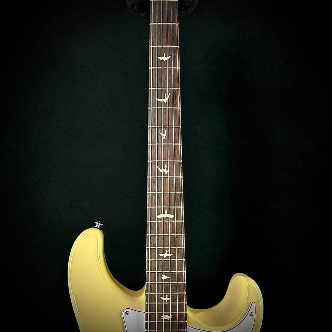 PRS Silver Sky SE (USED)