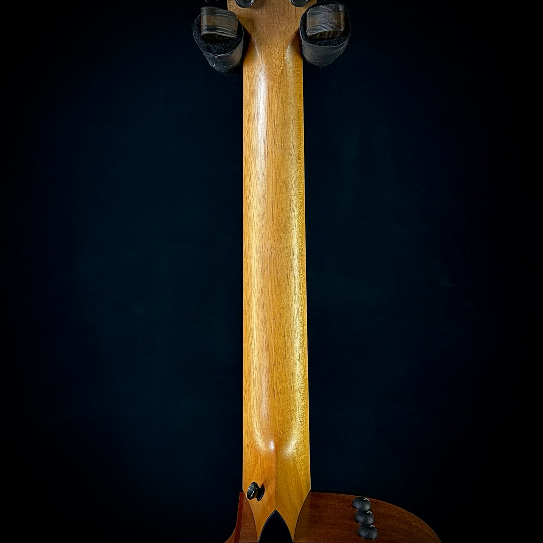 Taylor 150CE - 12-String