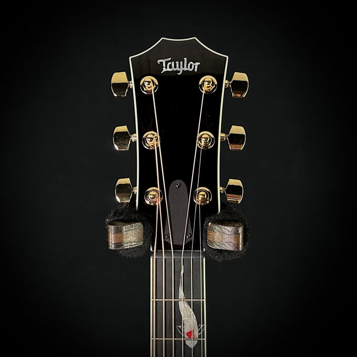 Taylor Custom #41 C17e Grand Pacific Living Jewels & Matching Circa 74 Amp