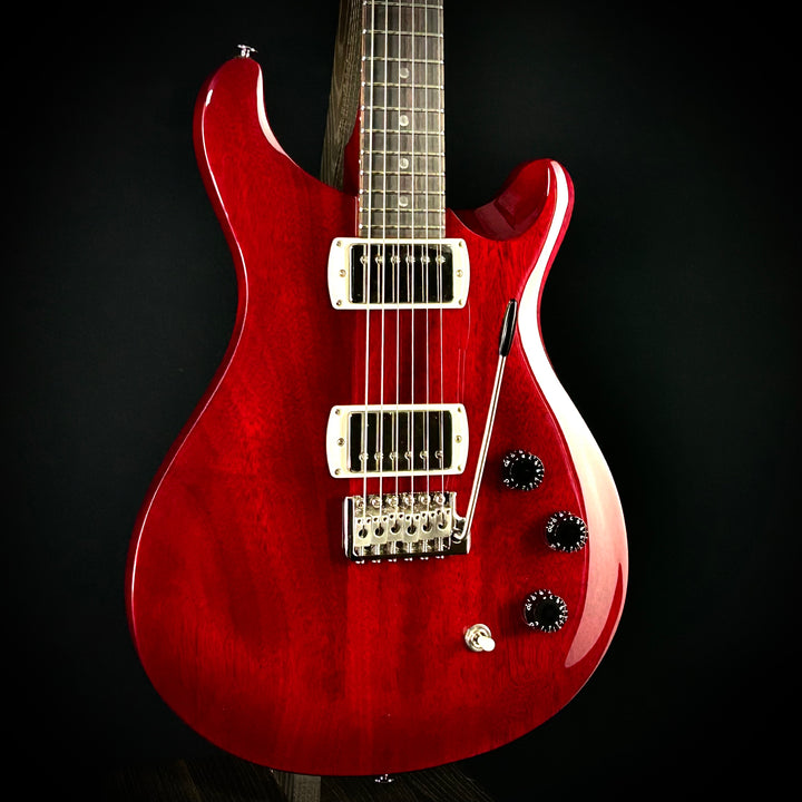 PRS SE DGT Standard