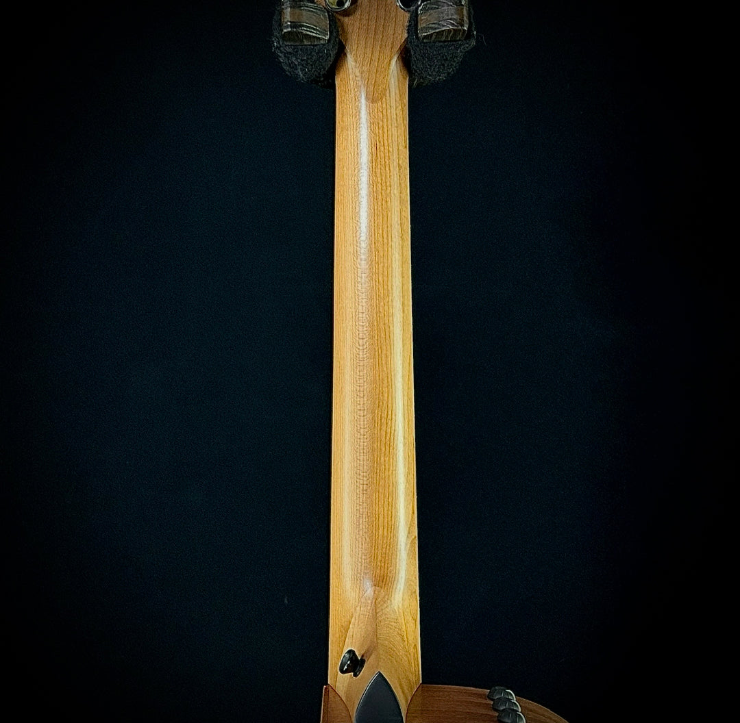 Taylor 112CE - Sapele