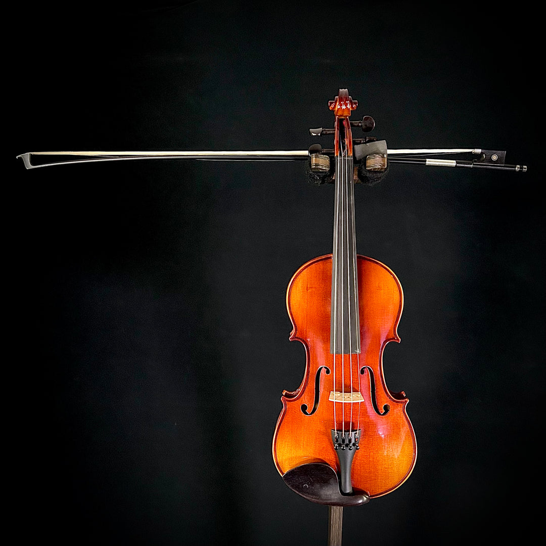 Albini Violin Package (Sizes 4/4, 3/4, 1/2, 1/4)