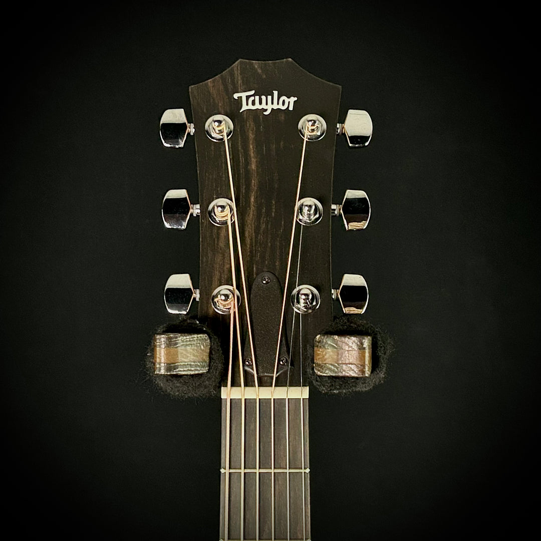 Taylor 210CE