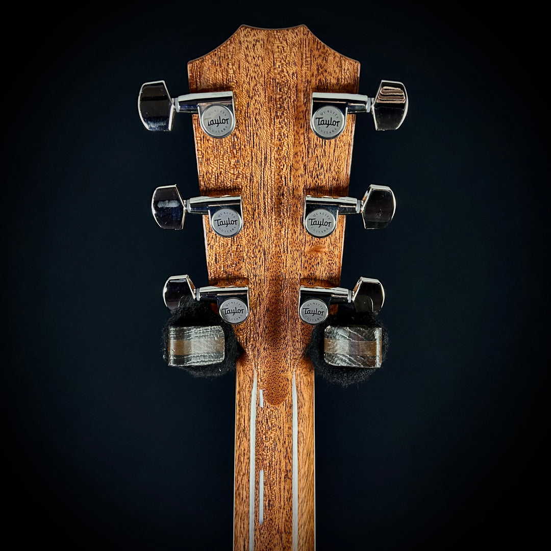 Taylor Legacy 810e