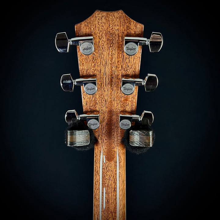 Taylor Legacy 810e