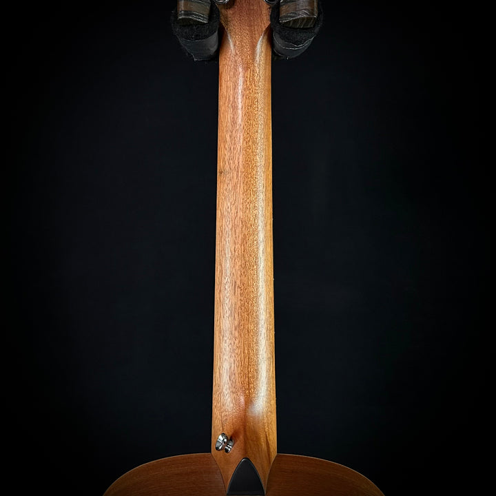 Taylor GS Mini-E Trans Black