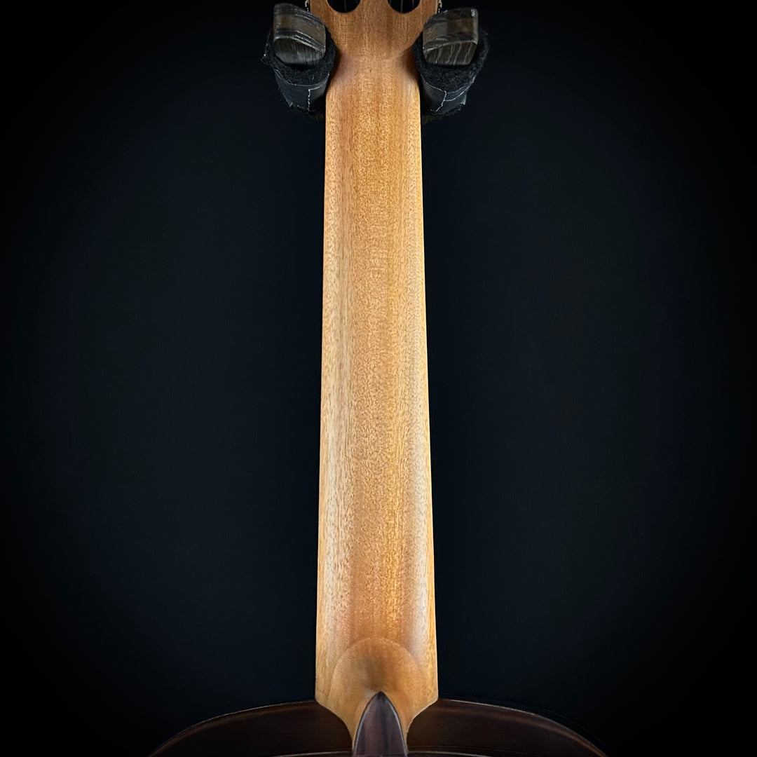 Alhambra 5FP Flamenco - Rosewood