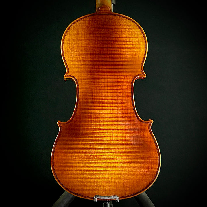 Albini Violin Package (Sizes 4/4, 3/4, 1/2, 1/4)