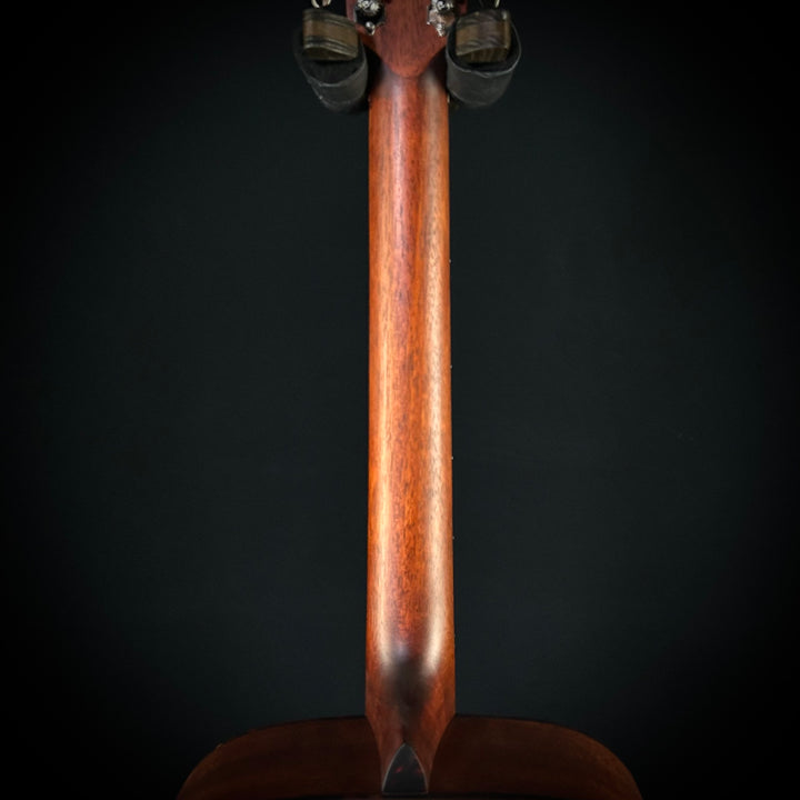Eastman E1D