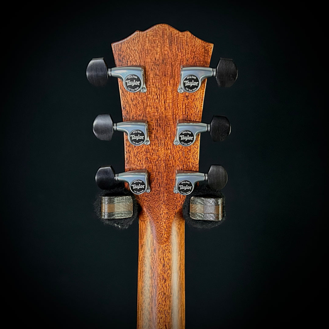 Taylor Gold Label 814e - Honduran Rosewood