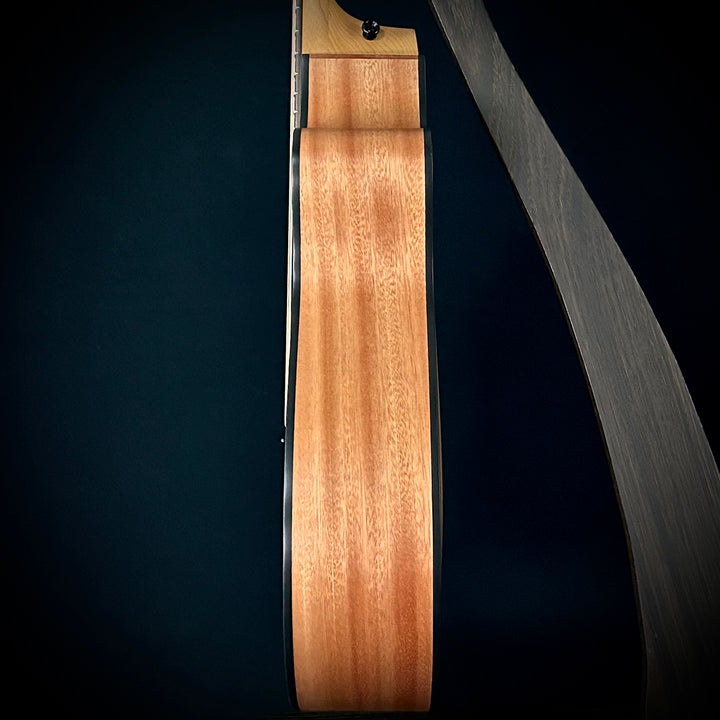 Taylor 112CE - Sapele