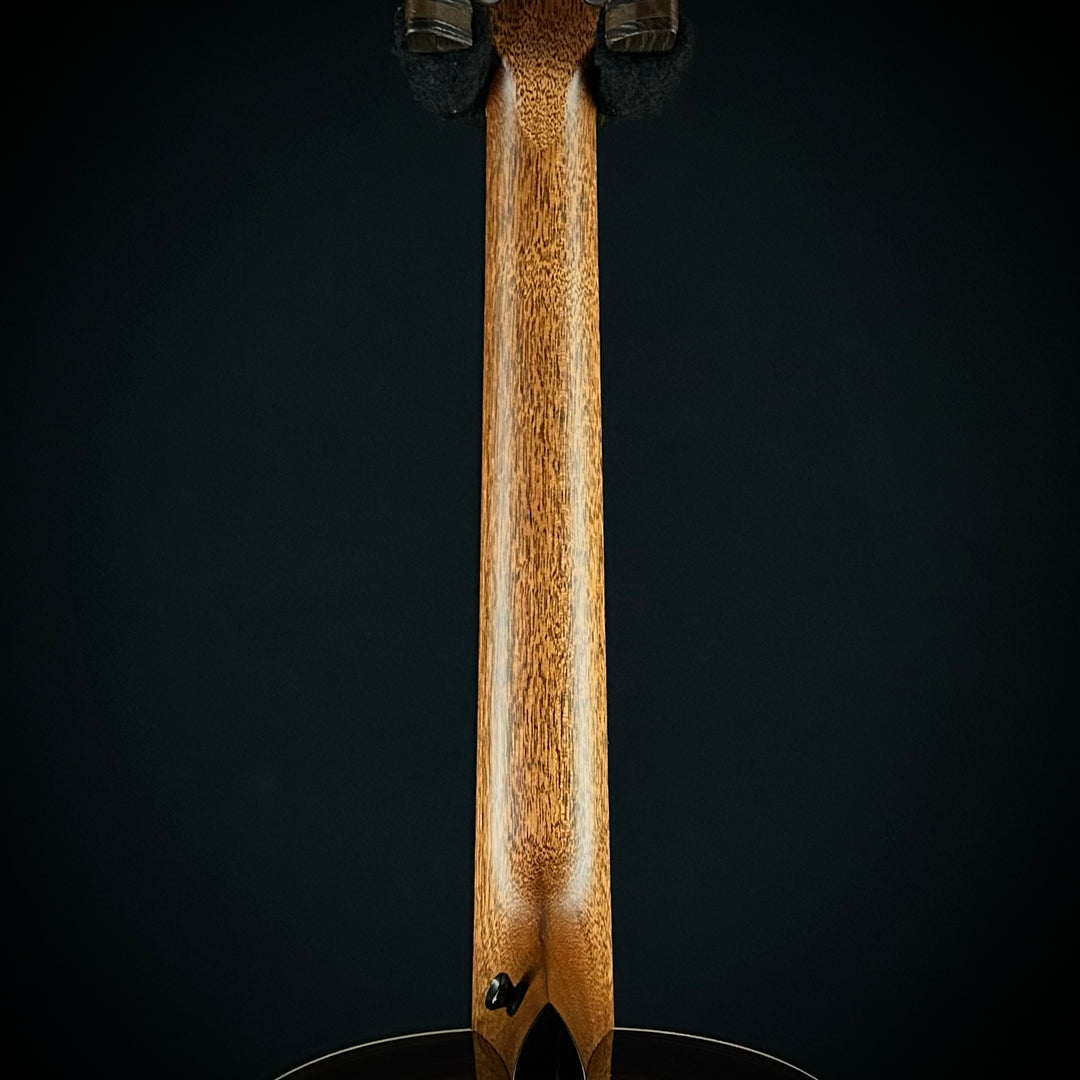 Taylor Gold Label 717E - Black Top