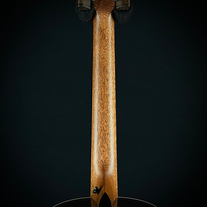 Taylor Gold Label 717E - Black Top
