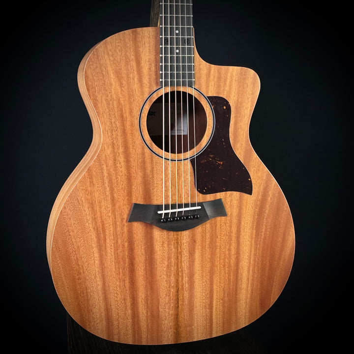 Taylor 24CE - Mahogany Top