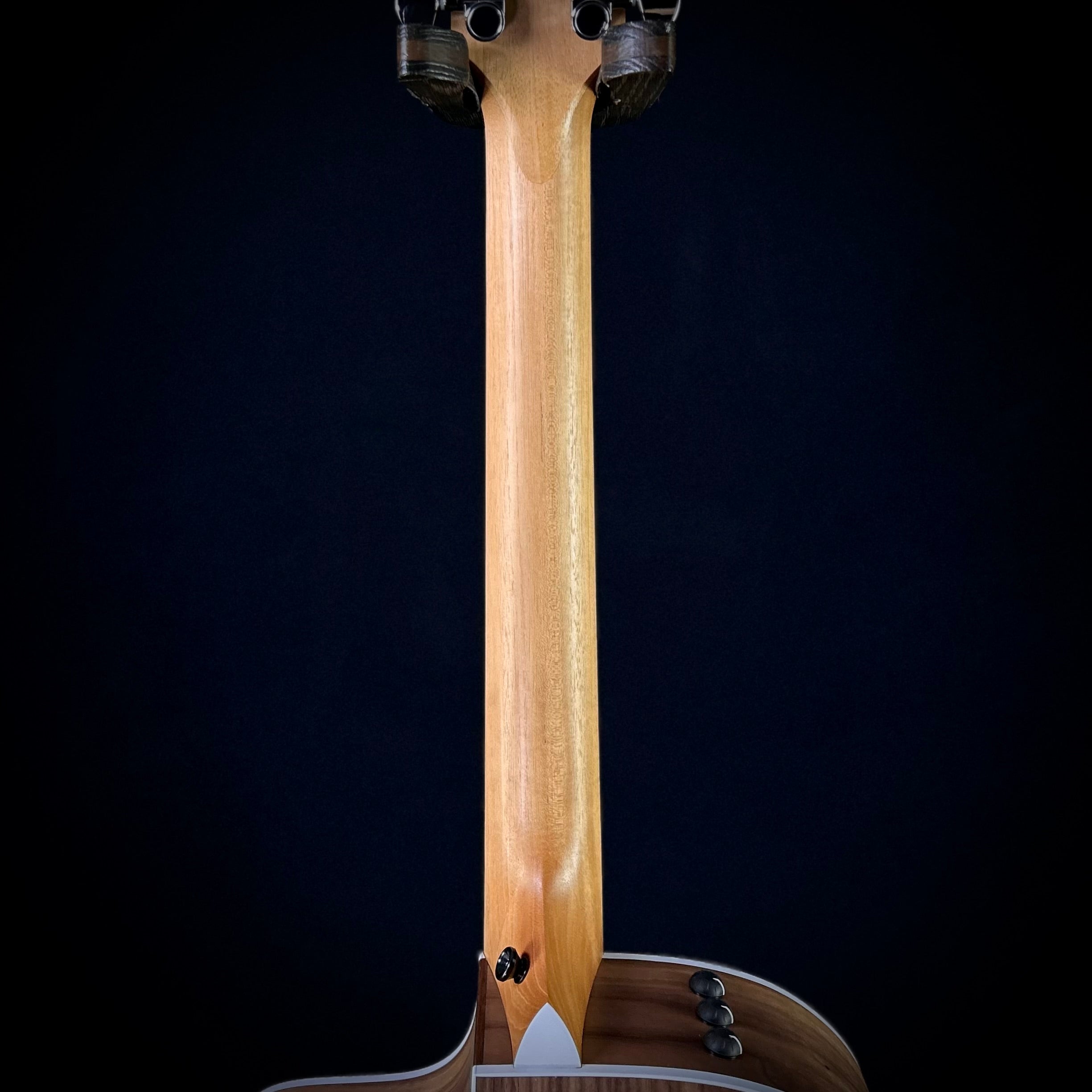 Taylor 214CE – Music Villa MT
