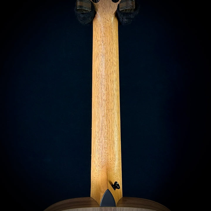 Taylor Academy 12E Nylon String -  LEFTY