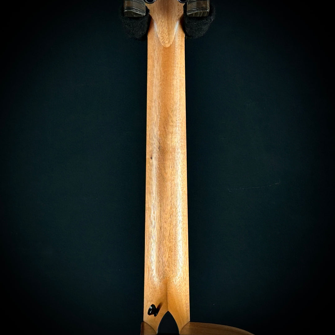 Taylor 150CE - Bajo Quinto