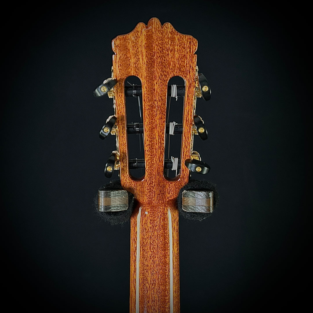 Cordoba C9 Parlor Cedar Top