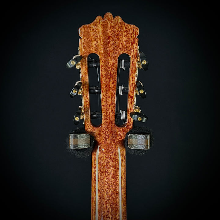 Cordoba C9 Parlor Cedar Top