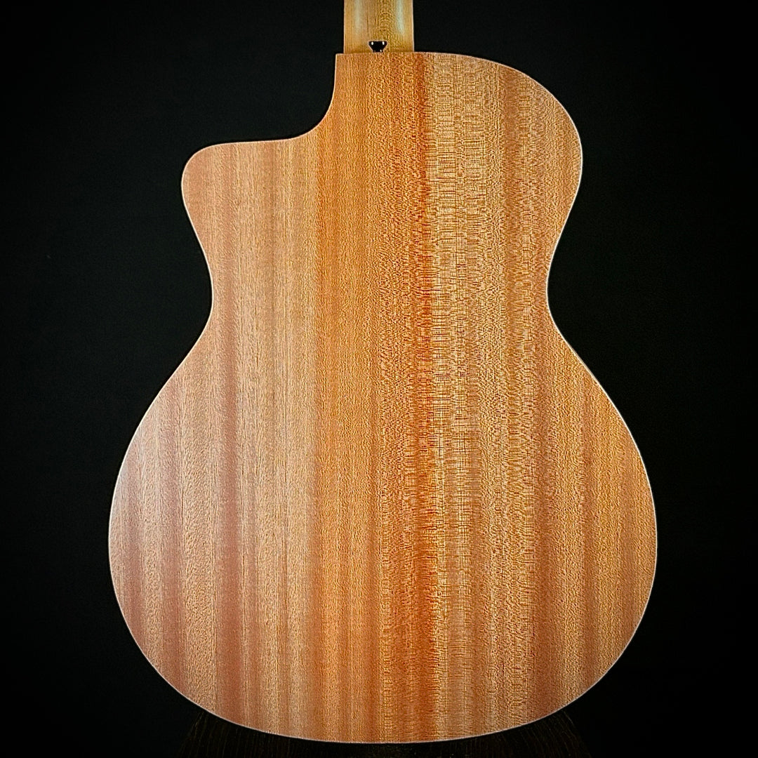 Taylor 24CE - Mahogany Top