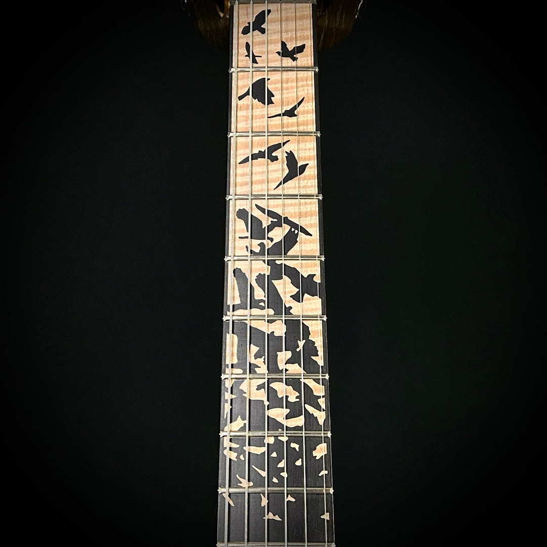 PRS Custom 24 Birds Of A Feather