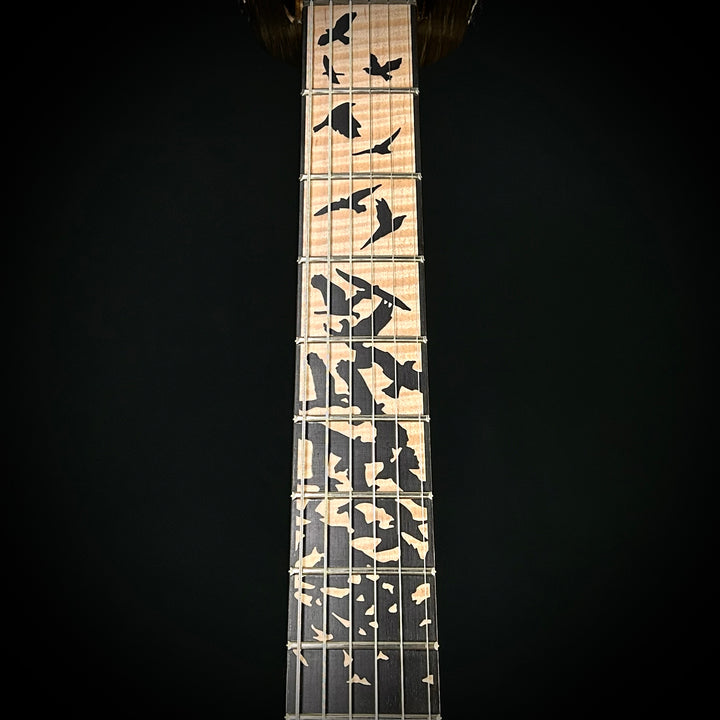 PRS Custom 24 Birds Of A Feather