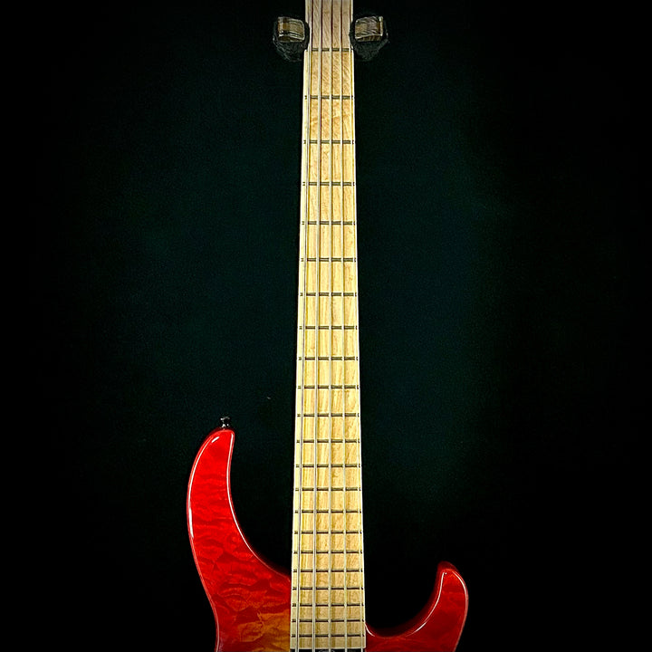 Modulus Genesis 5 (USED)