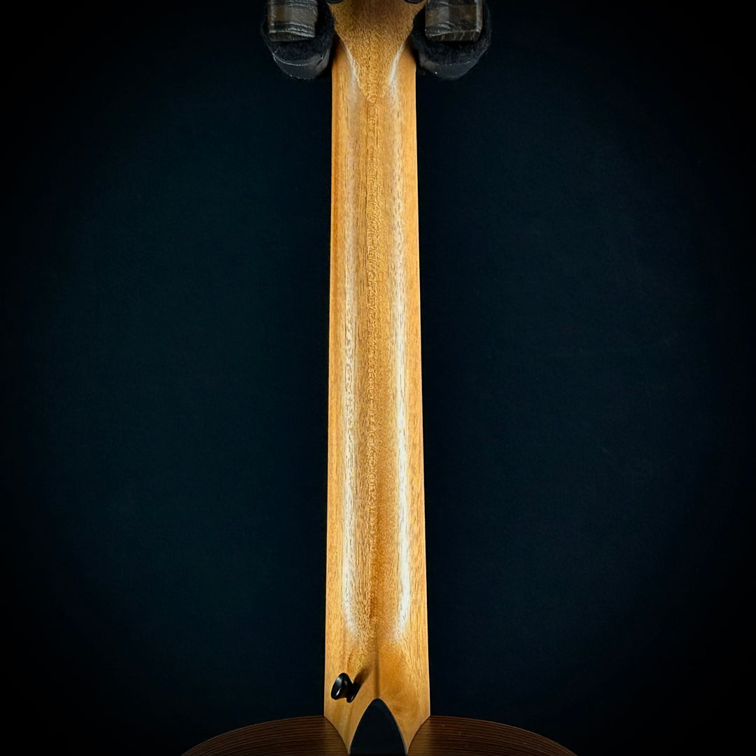 Taylor GS Mini-e Rosewood - Shaded Burst