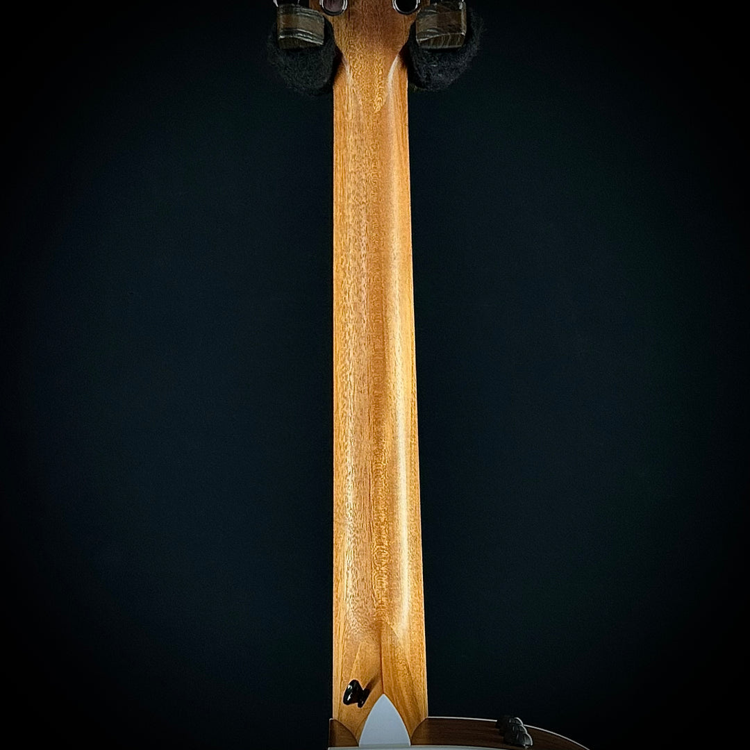 Taylor 210CE