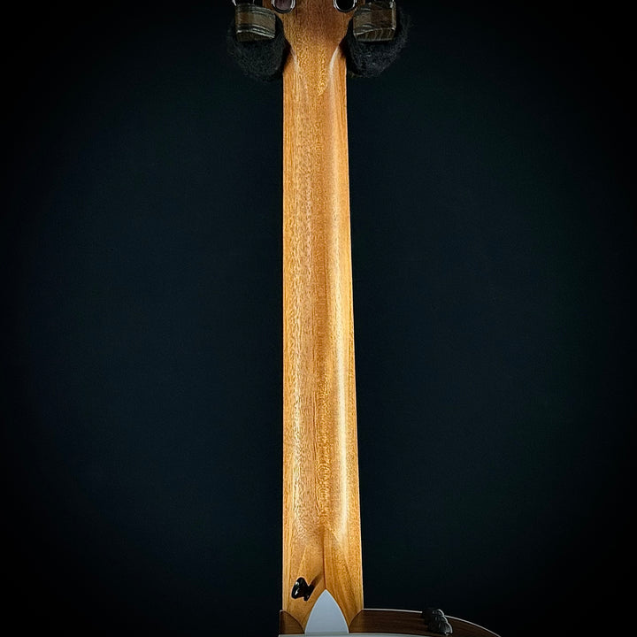 Taylor 210CE