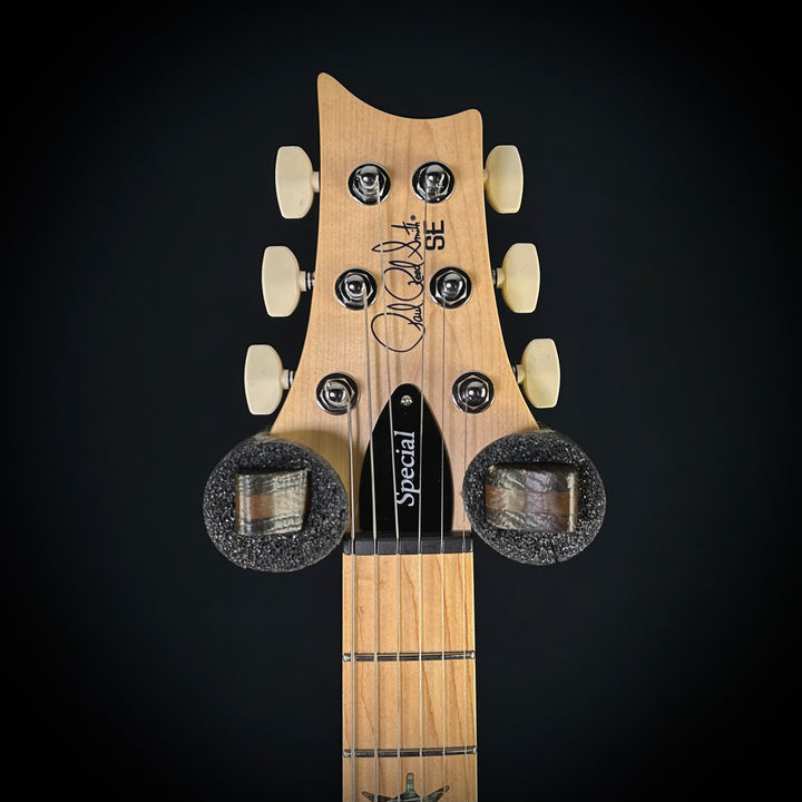 PRS SE Swamp Ash Special