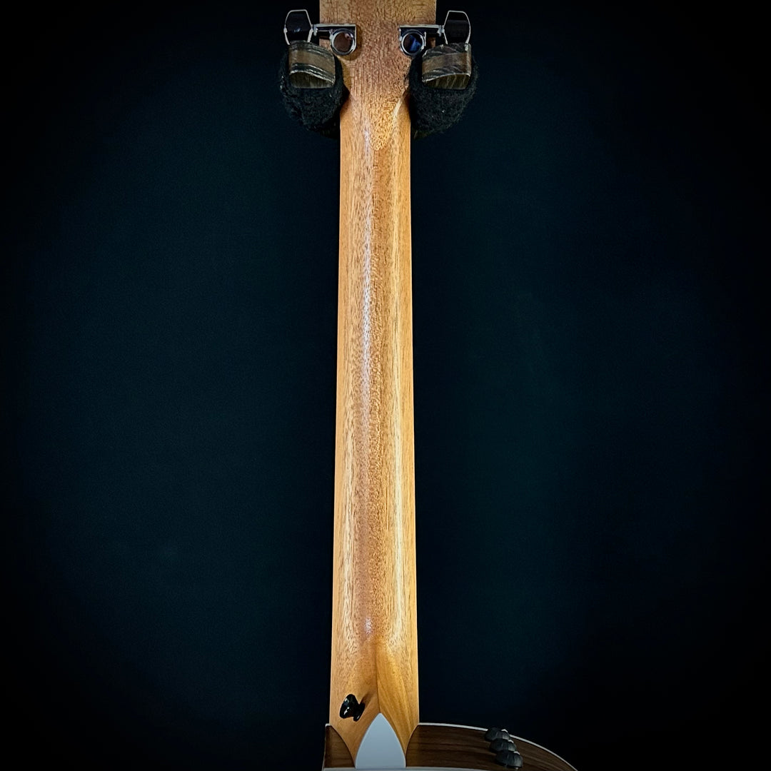Taylor 214CE - Walnut