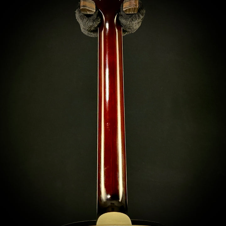 Eastman AR405-P90/TV