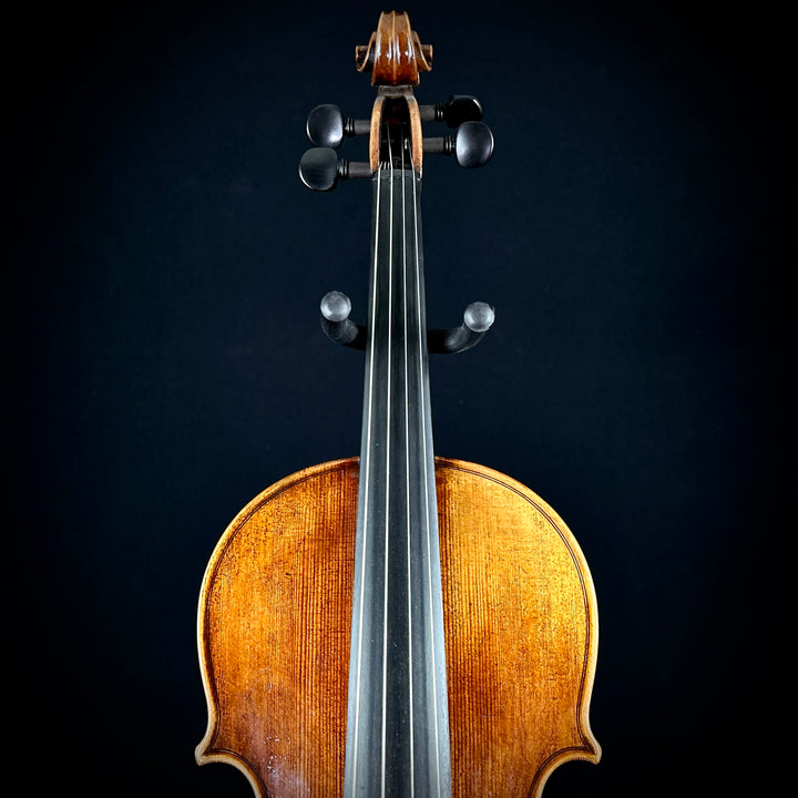 Maple Leaf Haddock 15” Viola