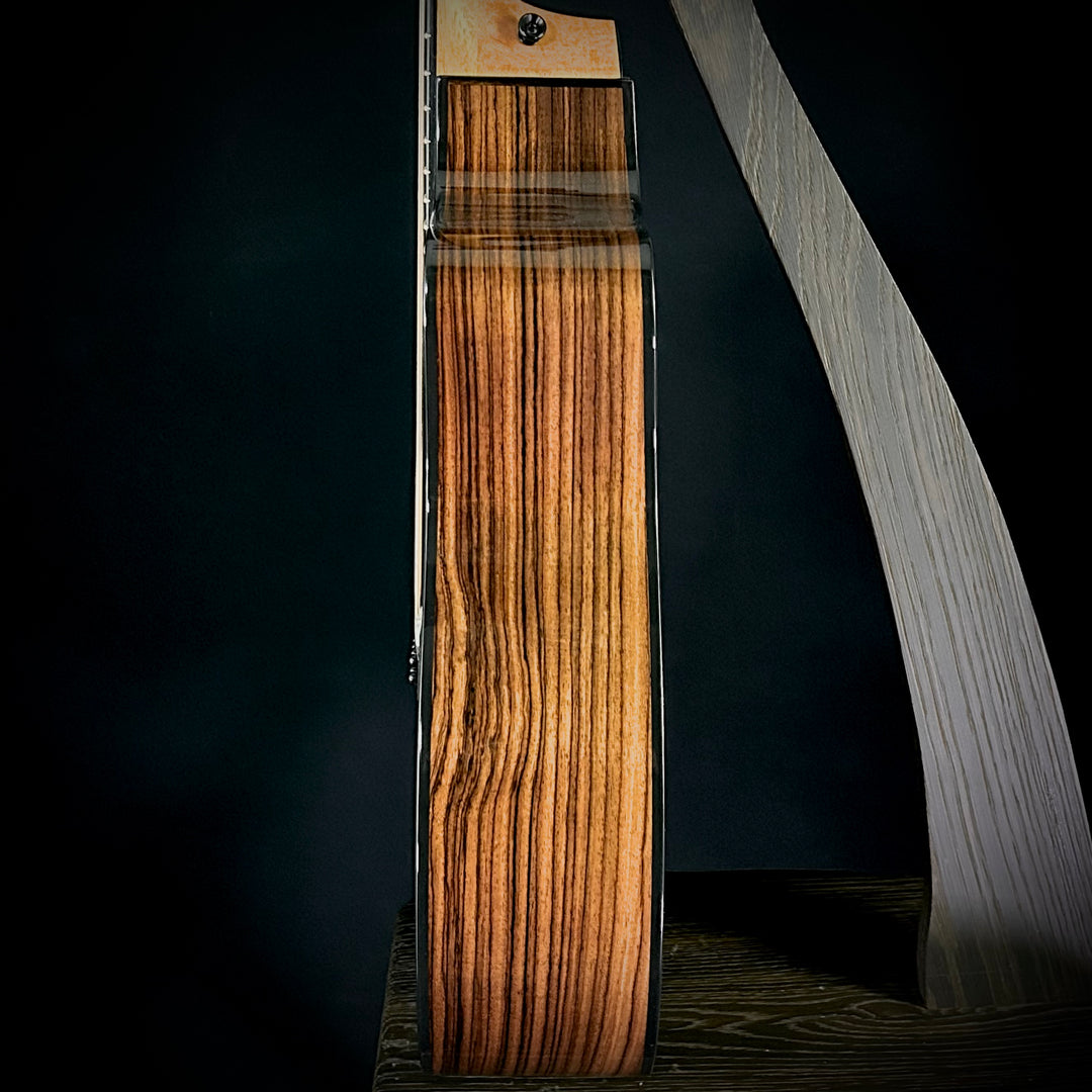 Taylor 254ce Plus - 12-String