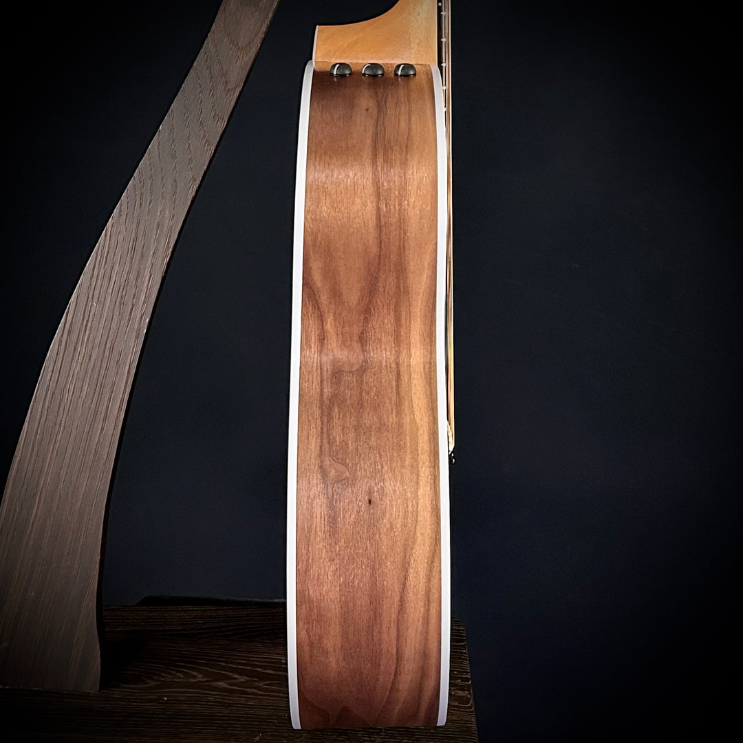 Taylor 214CE