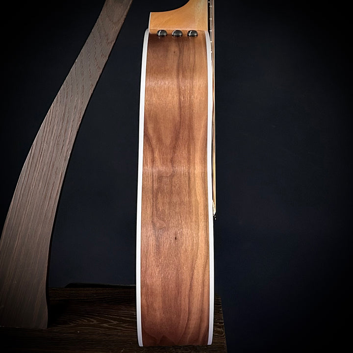 Taylor 214CE