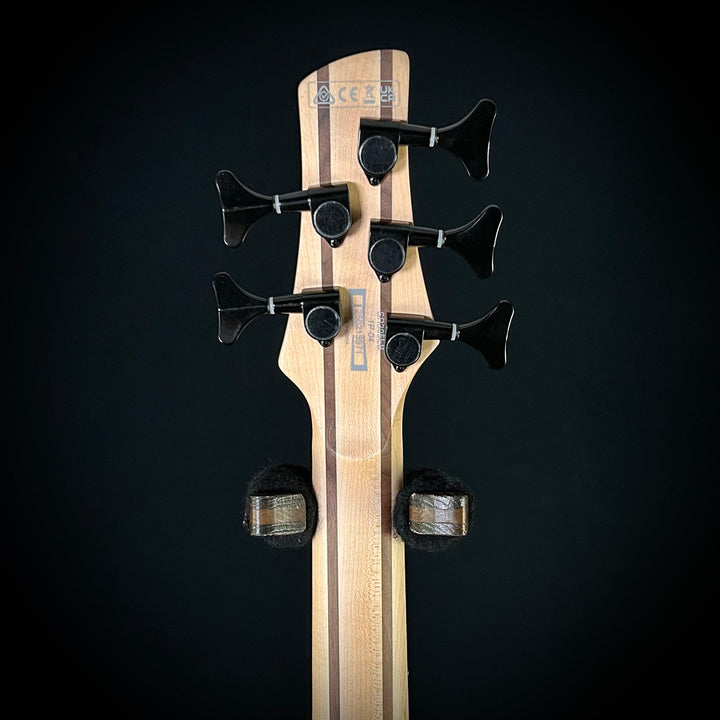 Ibanez SR305 5-String Bass