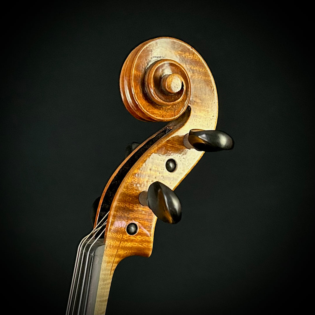 Maple Leaf Haddock 15” Viola