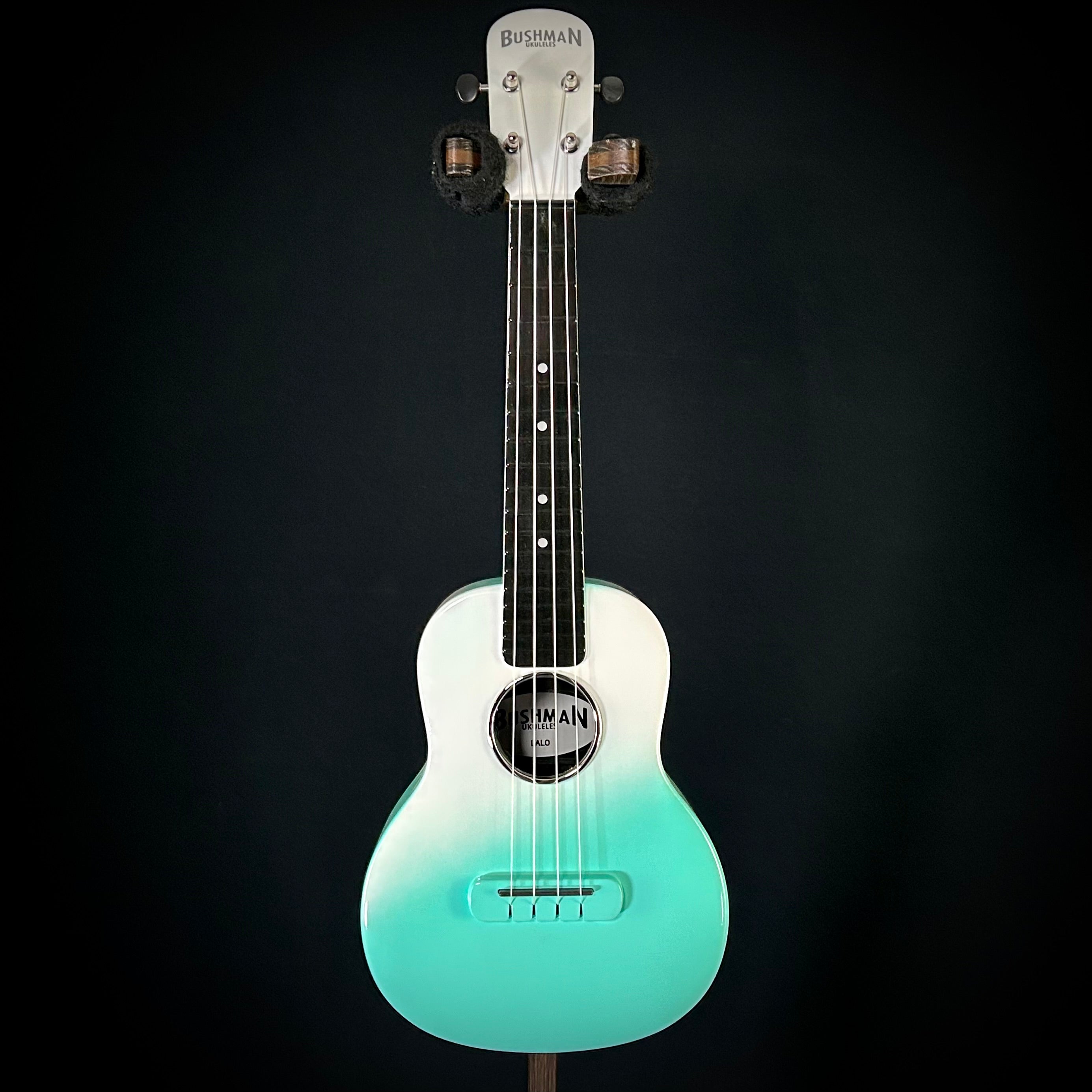 BUSHMANソプラノウクレレ Bushman Carbon Fiber Ukulele w/Pu - Seafoam Green – Music Villa MT