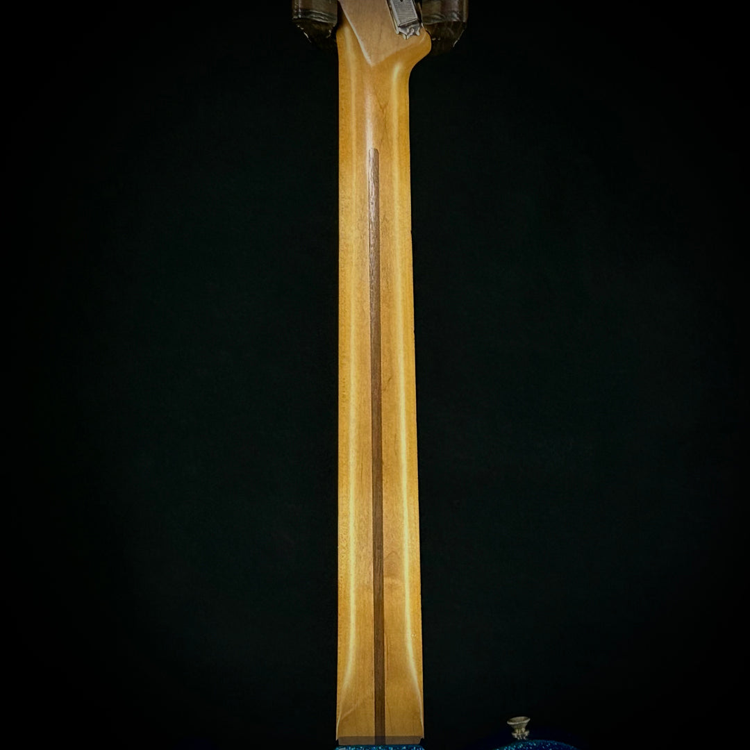 Fender J Mascis Telecaster